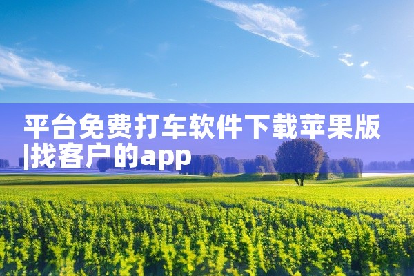 平台免费打车软件下载苹果版