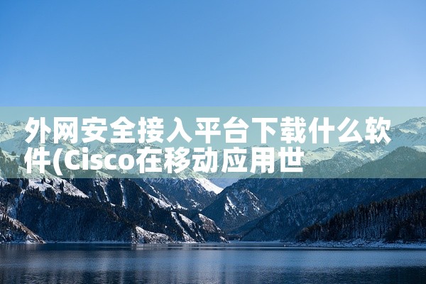 外网安全接入平台下载什么软件