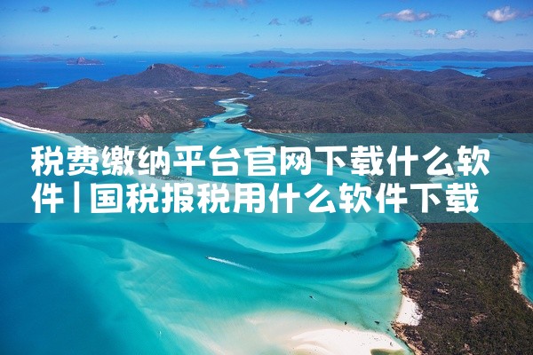 税费缴纳平台官网下载什么软件