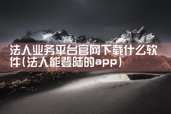 法人业务平台官网下载什么软件