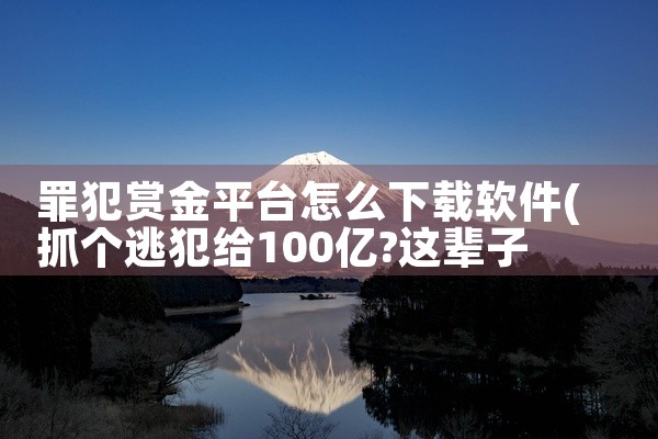 罪犯赏金平台怎么下载软件
