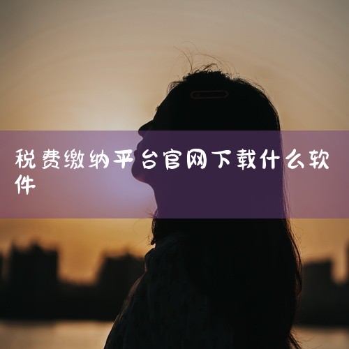 个人所得税可通过国家税务总局推出的“个人所得税”APP缴纳。该APP是官方指定的线上办税平台，功能全面且操作便捷，具体特点如下：一、核心功能专项附加扣除填报：支持子女教育、继续教育、大病医疗、住房贷款|