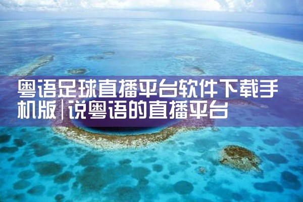 粤语足球直播平台软件下载手机版