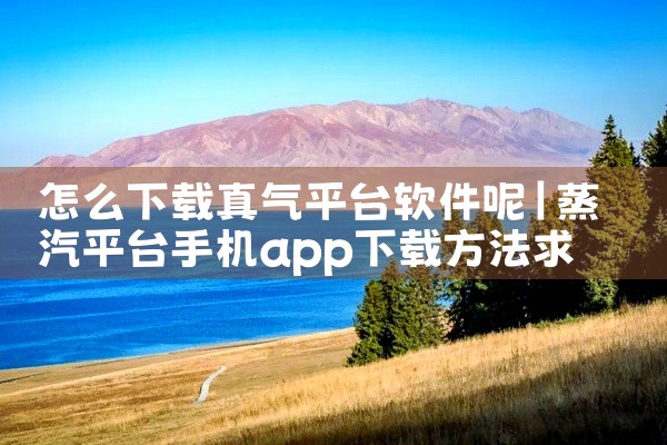 怎么下载真气平台软件呢