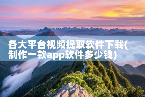 各大平台视频提取软件下载